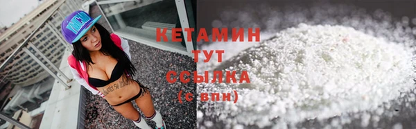 гашик Алексин