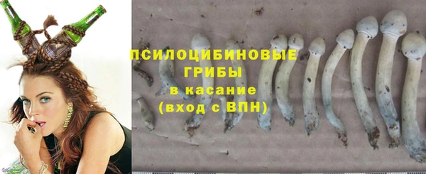 мескалин Арсеньев
