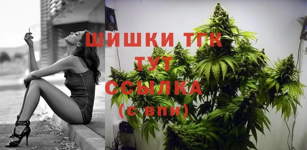 индика Баксан