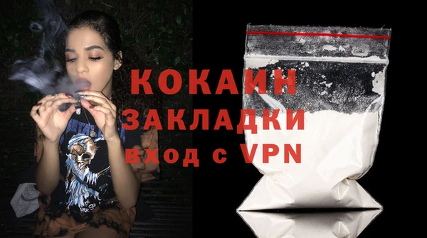 индика Баксан