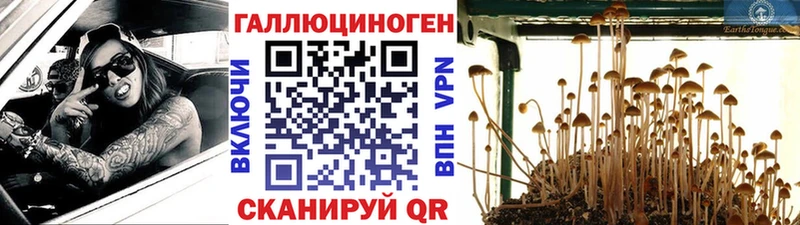 гидра как войти  Гурьевск  Галлюциногенные грибы ЛСД 