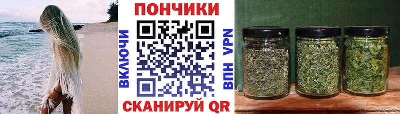 цена наркотик Гурьевск Бошки марихуана SATIVA & INDICA